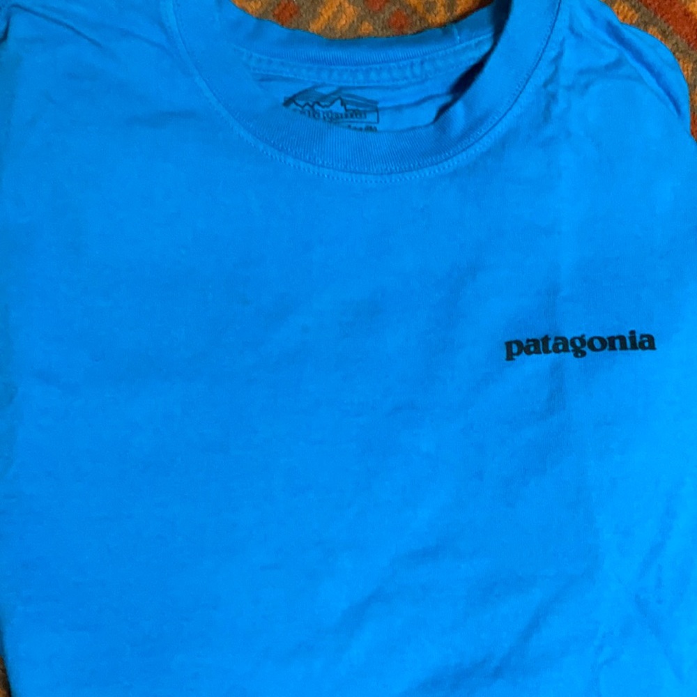 Patagonia t-shirt